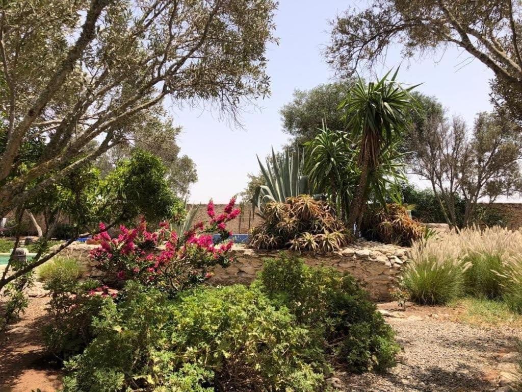 ホテル Les Jardins De Silona, Piscine Chauffee エッサウィラ エクステリア 写真