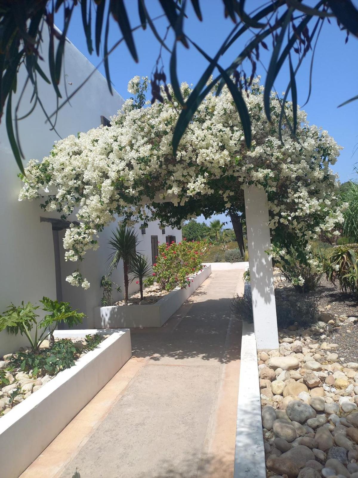 ホテル Les Jardins De Silona, Piscine Chauffee エッサウィラ エクステリア 写真