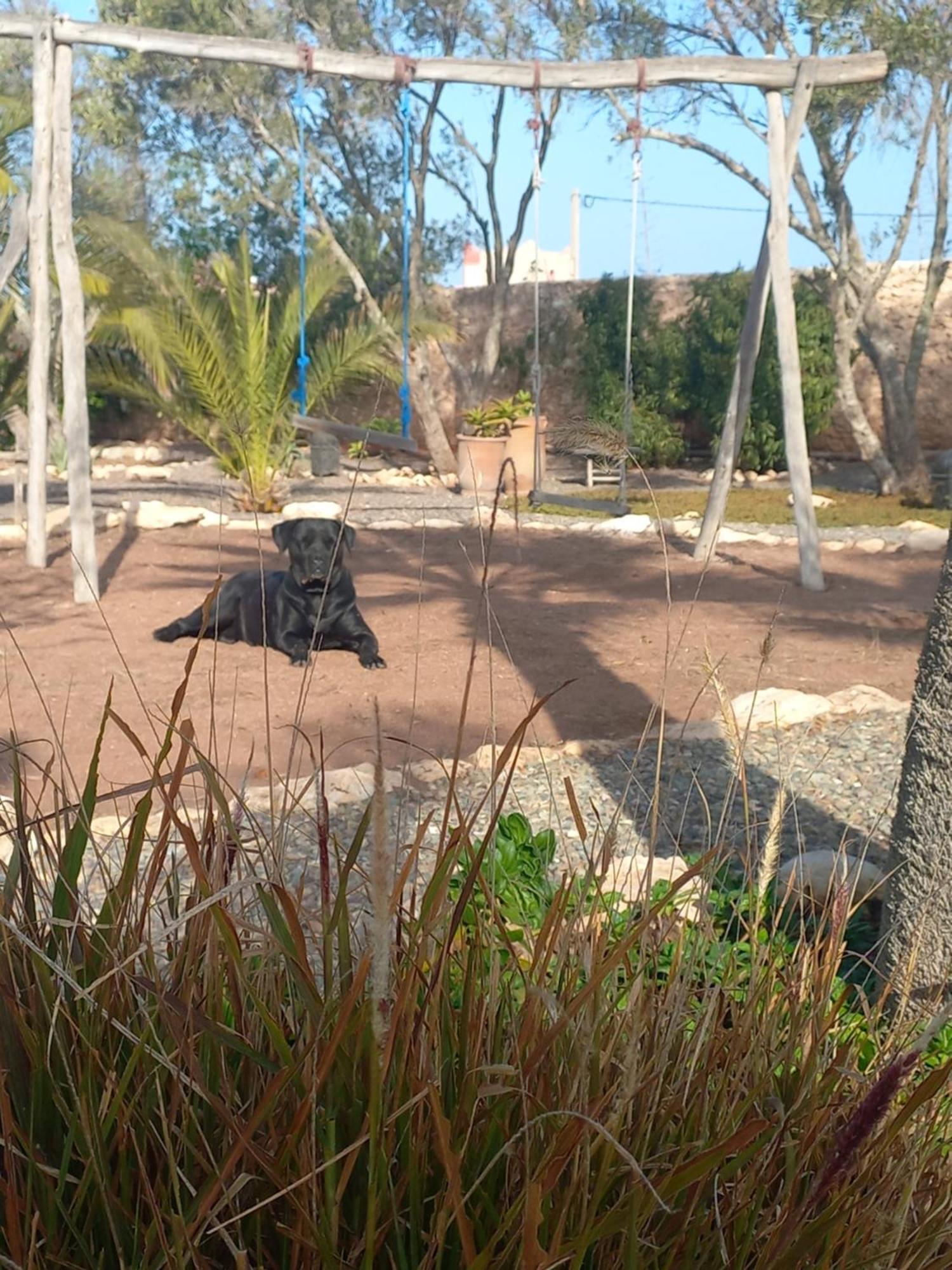 ホテル Les Jardins De Silona, Piscine Chauffee エッサウィラ エクステリア 写真