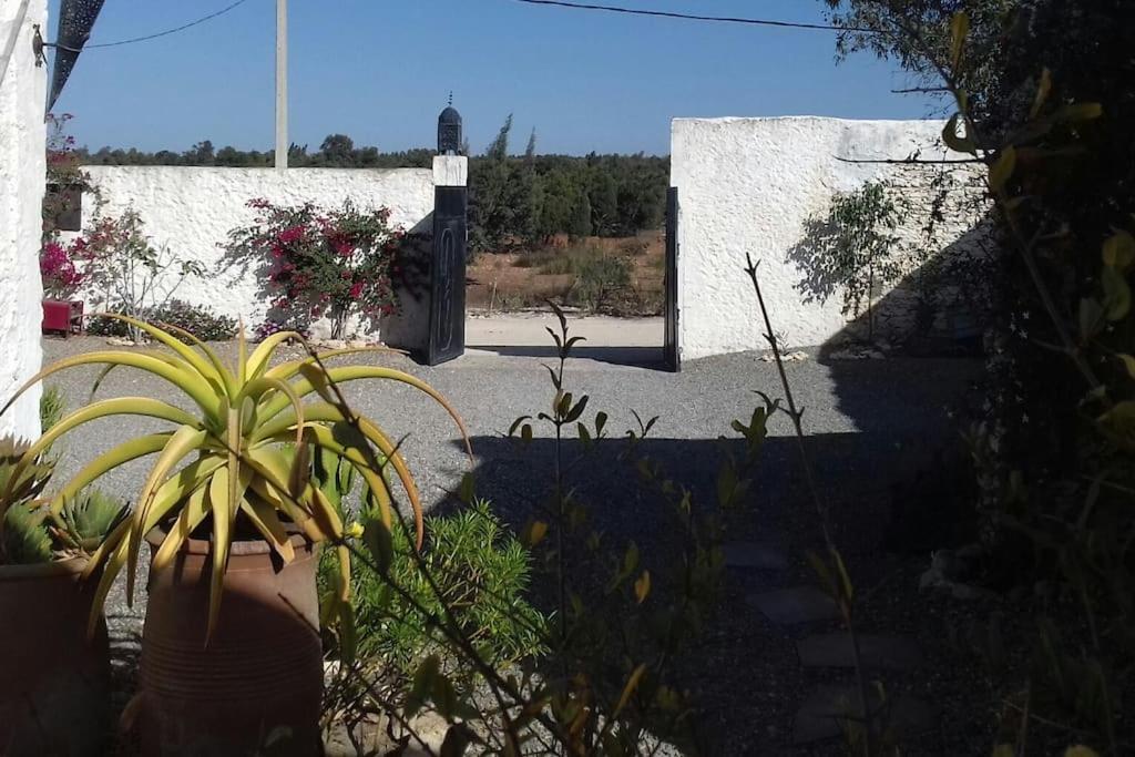 ホテル Les Jardins De Silona, Piscine Chauffee エッサウィラ エクステリア 写真