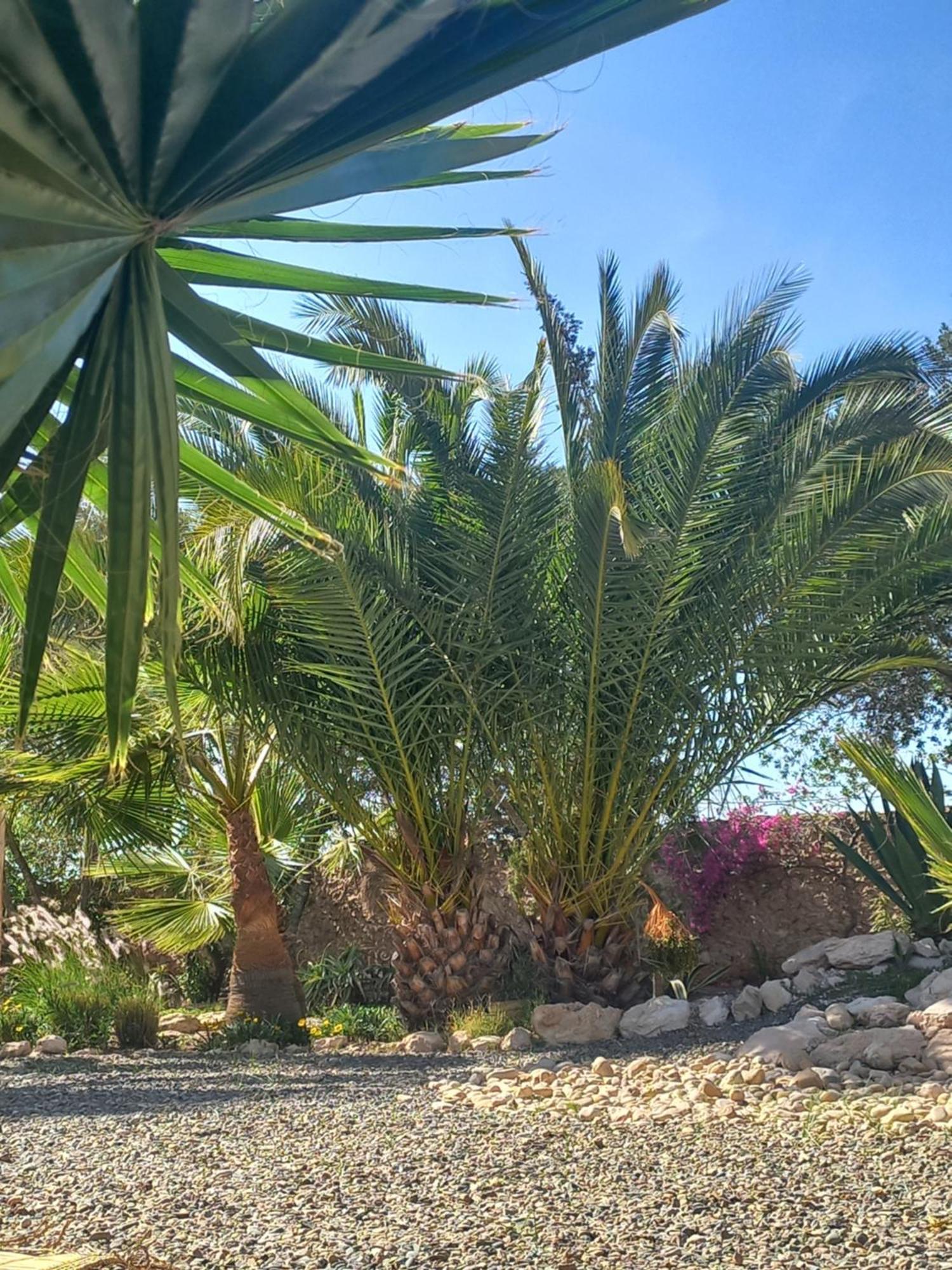 ホテル Les Jardins De Silona, Piscine Chauffee エッサウィラ エクステリア 写真